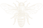 Pchol Kollektiv bee